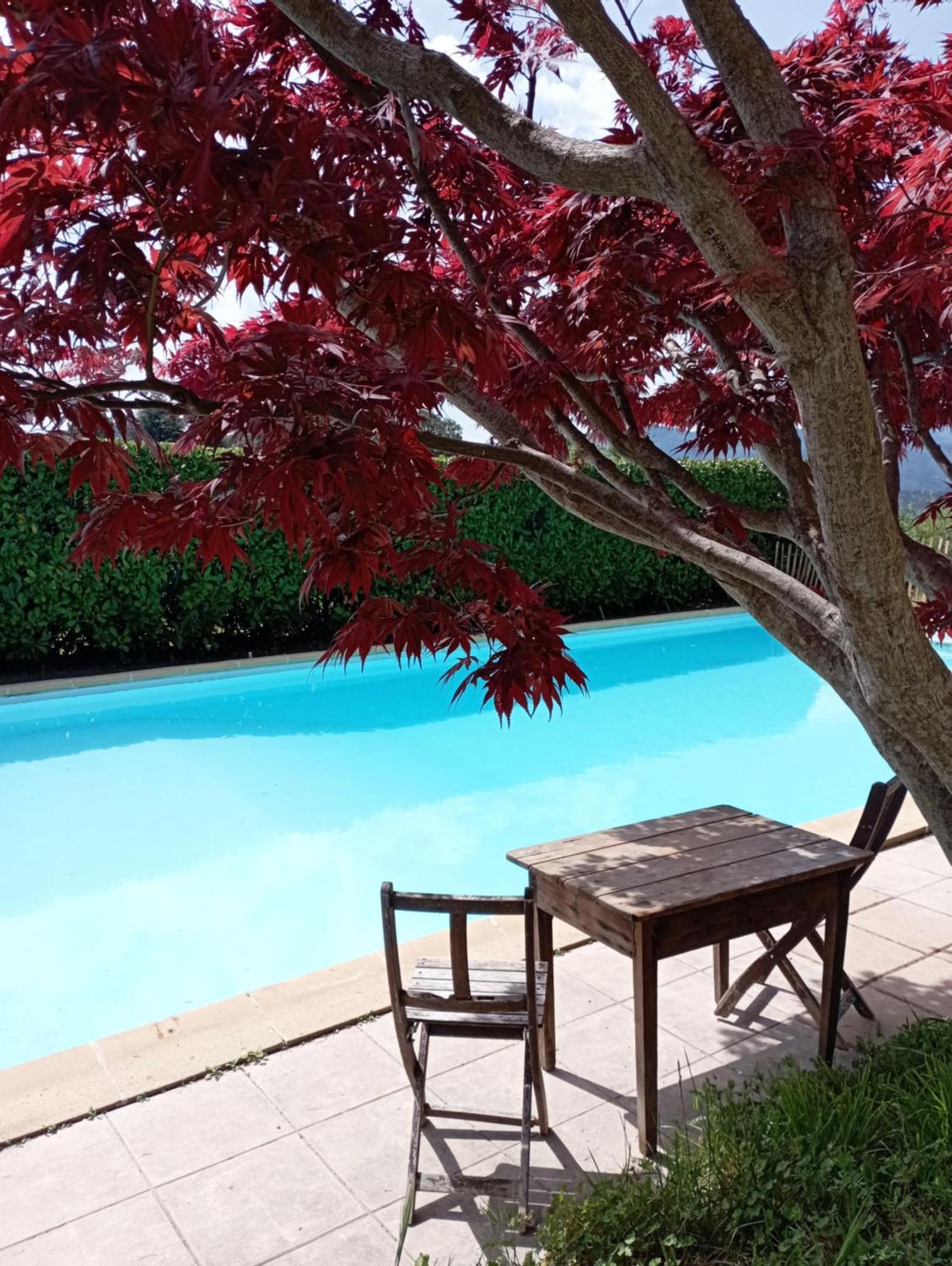 Chambre D'Hote Dans Mas Proche Anduze Cevennes Avec Piscine Mialet  Экстерьер фото