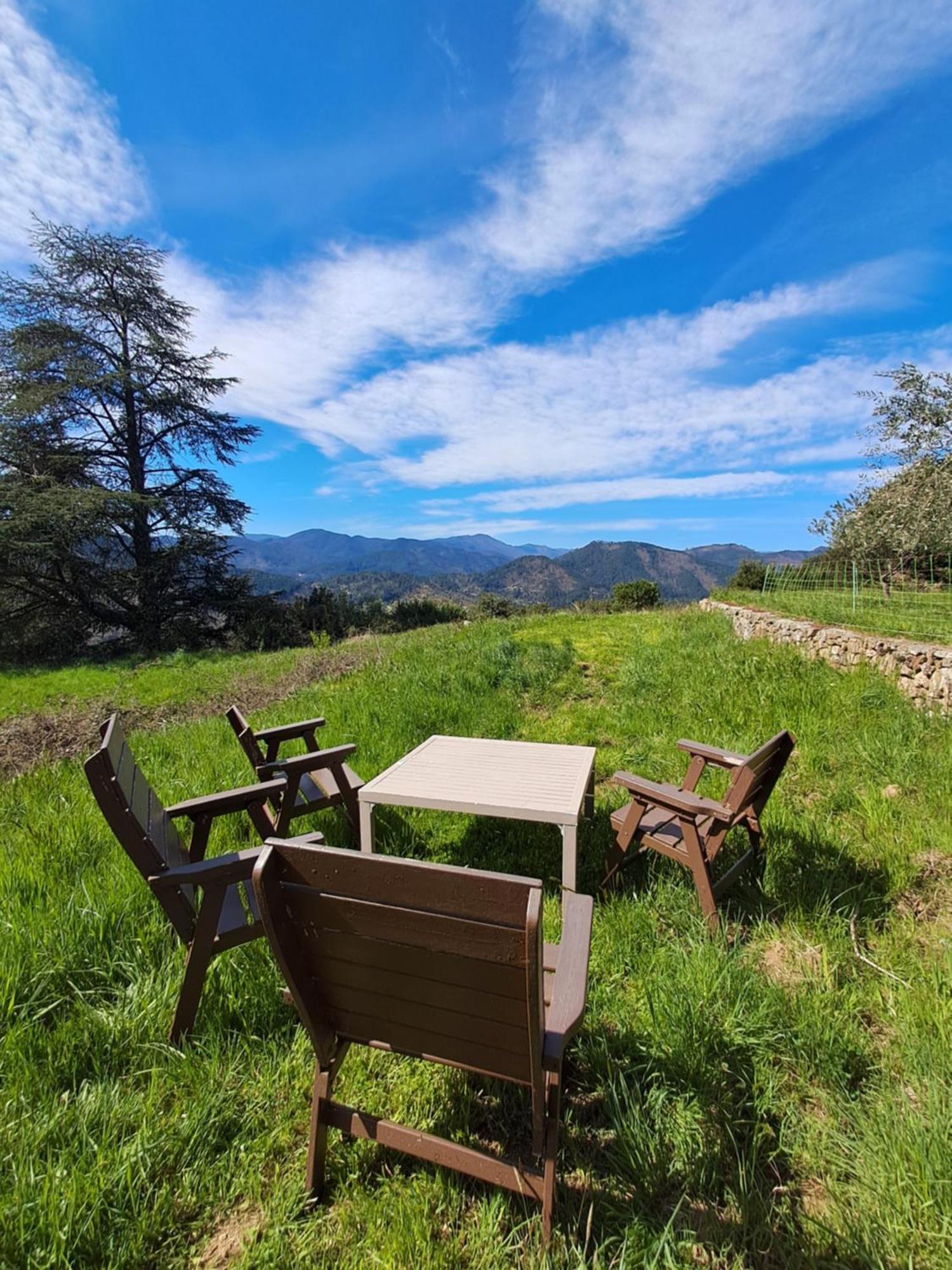 Chambre D'Hote Dans Mas Proche Anduze Cevennes Avec Piscine Mialet  Экстерьер фото