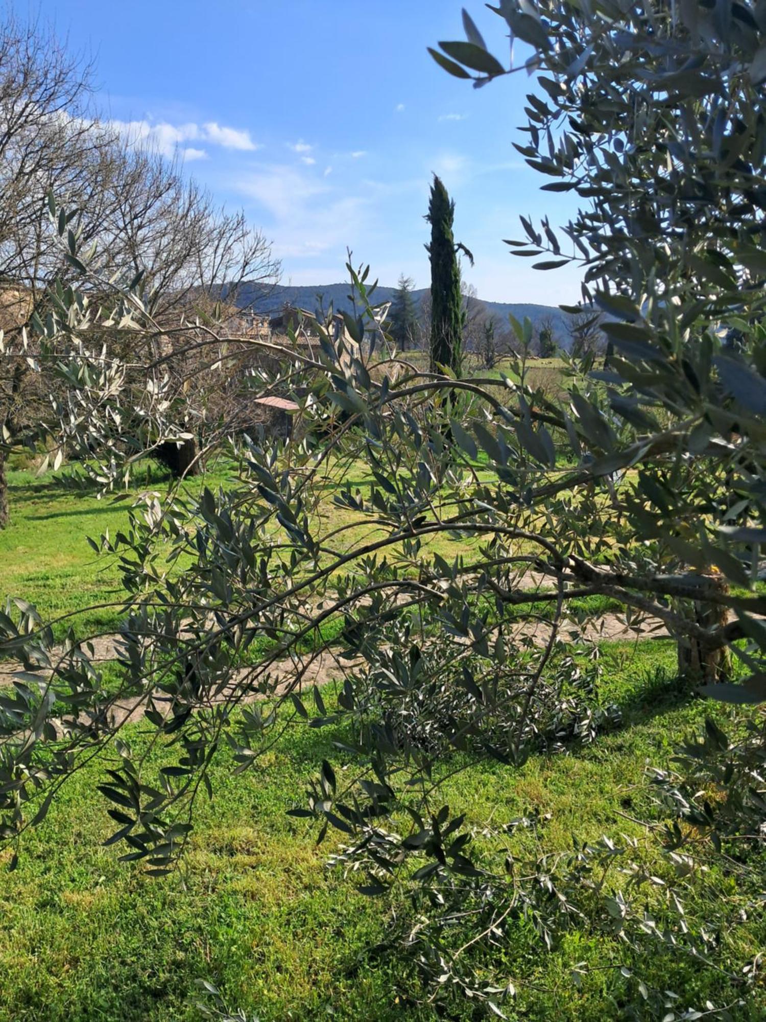 Chambre D'Hote Dans Mas Proche Anduze Cevennes Avec Piscine Mialet  Номер фото